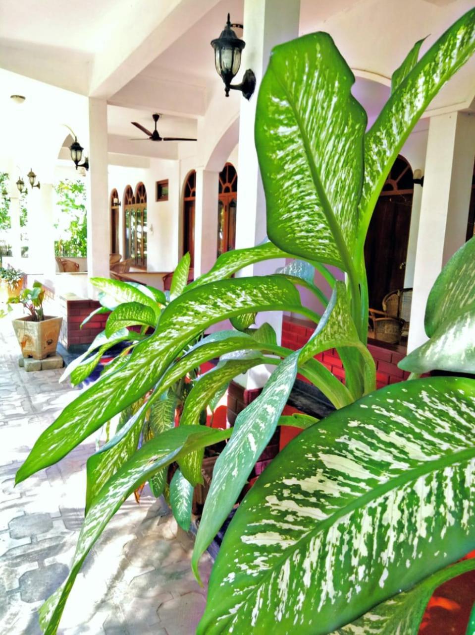 Palm Beach Resort Trincomalee Bilik gambar